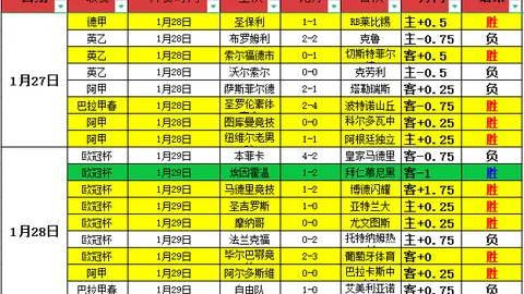 德国联邦议院选举提前启动：央视记者现场直播，5900万选民期待变革来临